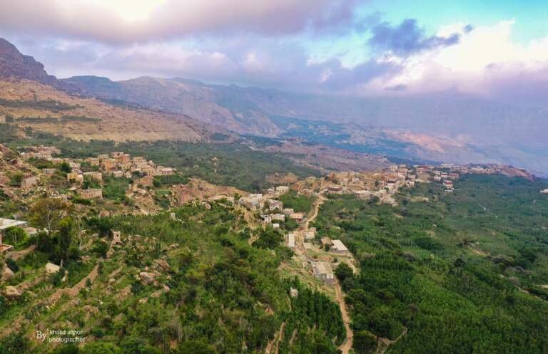 القرود تسطو على مزارع المحويت ولا إمكانيات مواجهتها