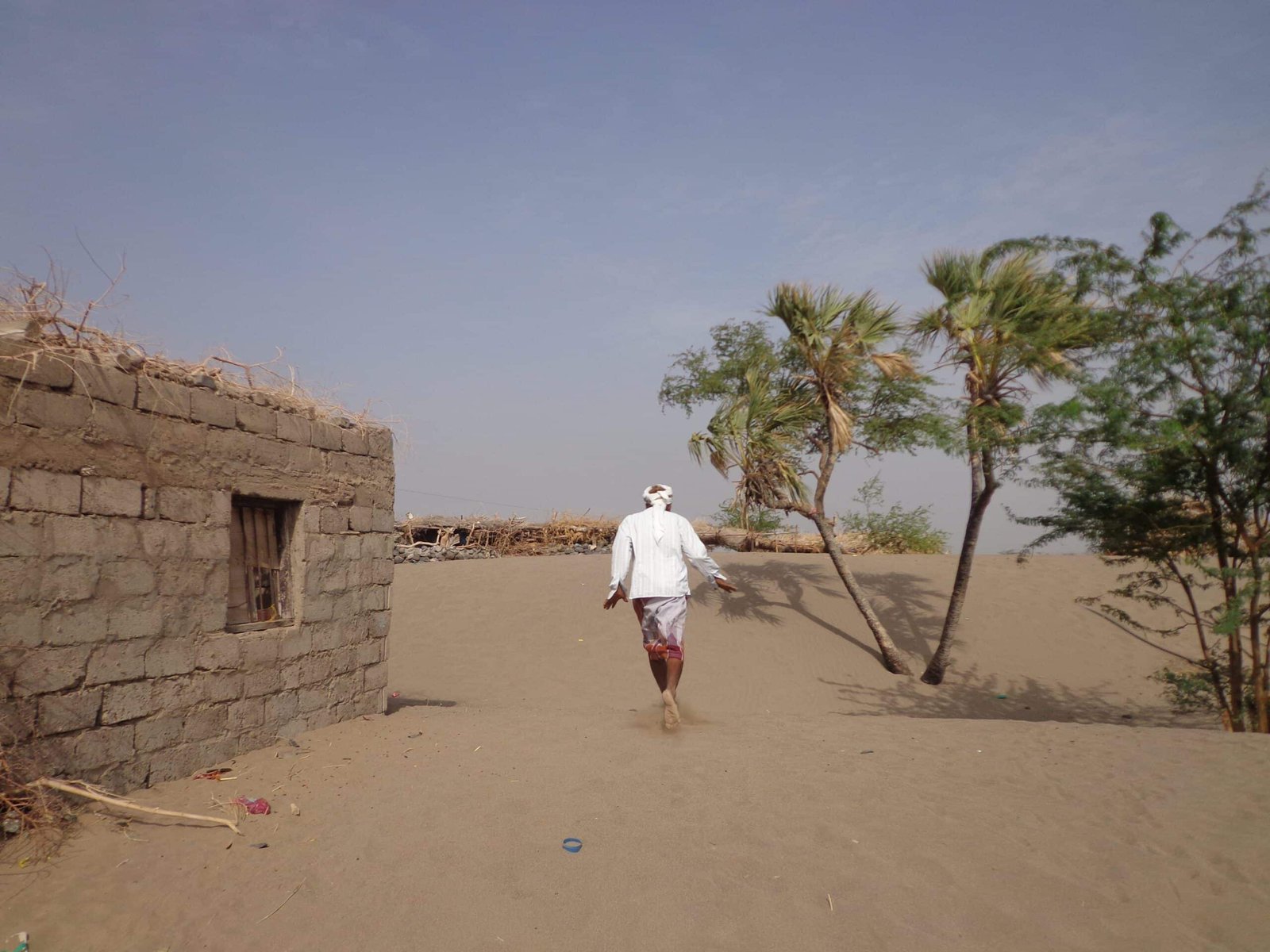 العواصف الرملية تهدد الزراعة وتدهور الآراضي