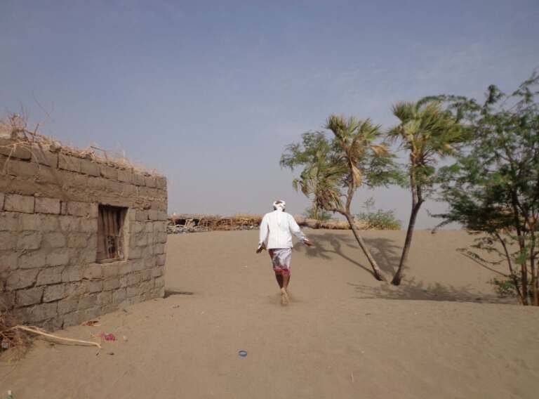 الرياح وزحف الرمال.. ثنائي مخيف للمزارع اليمني