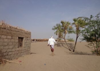 الرياح وزحف الرمال.. ثنائي مخيف للمزارع اليمني