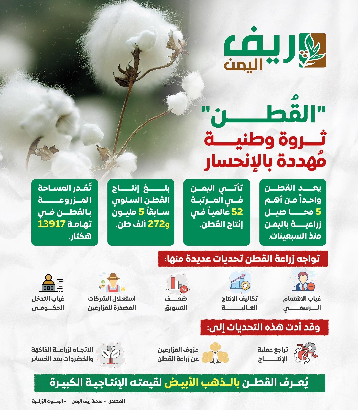 بسبب الجفاف والإهمال.. دلتا أبين تفقد ذهبها الأبيض