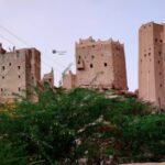 1687220949_3-533×400