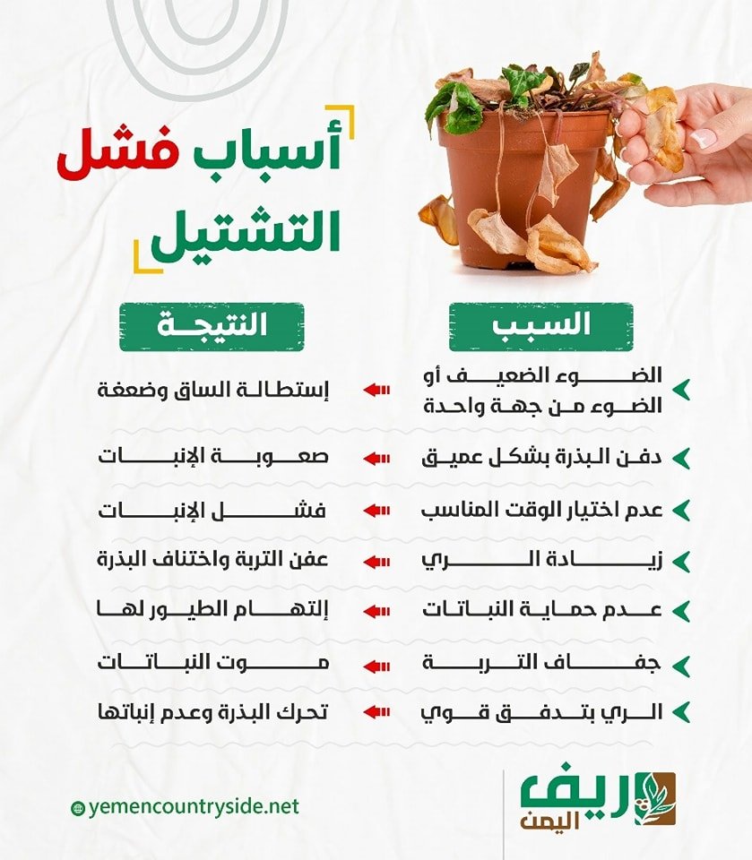 أسباب فشل الشتلات الزراعية