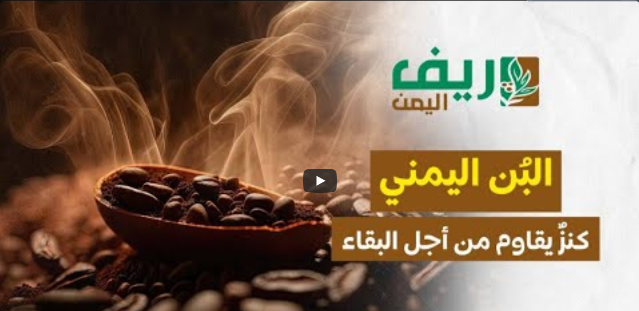 البُن اليمني