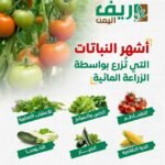 398731938_724355496400034_7797366421359502027_n