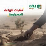 402243413_731995728969344_5674842259933407615_n