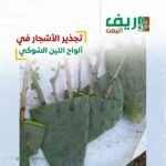 404160332_732968762205374_1462778918800126391_n