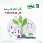 404899331_734771478691769_8951788396677909480_n