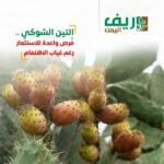 410093889_747213620780888_1099514013684539868_n