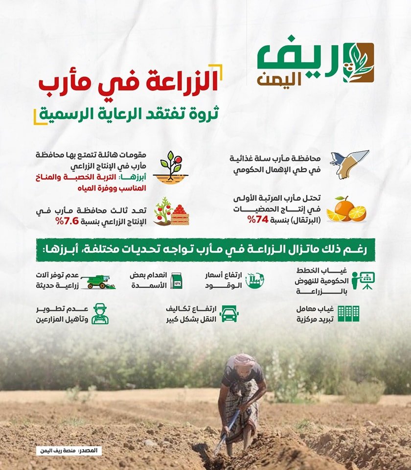 مأرب.. غياب الدعم تحدٍ يعرقل انتعاش قطاع الزراعة