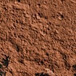 pexels-eva-bronzini-6104931