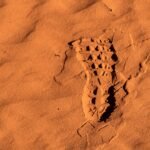 pexels-lorenzo-toso-789636