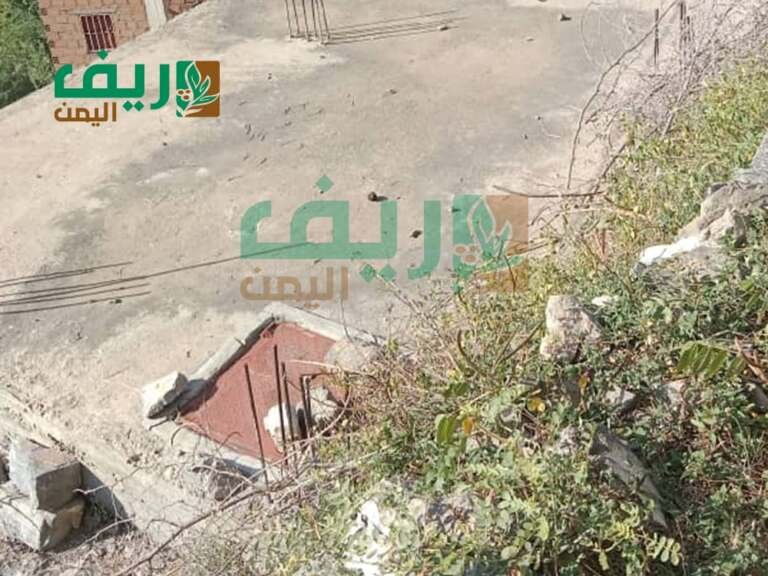 السقاية في تعز: حصاد مياه الأمطار لفصل الشتاء