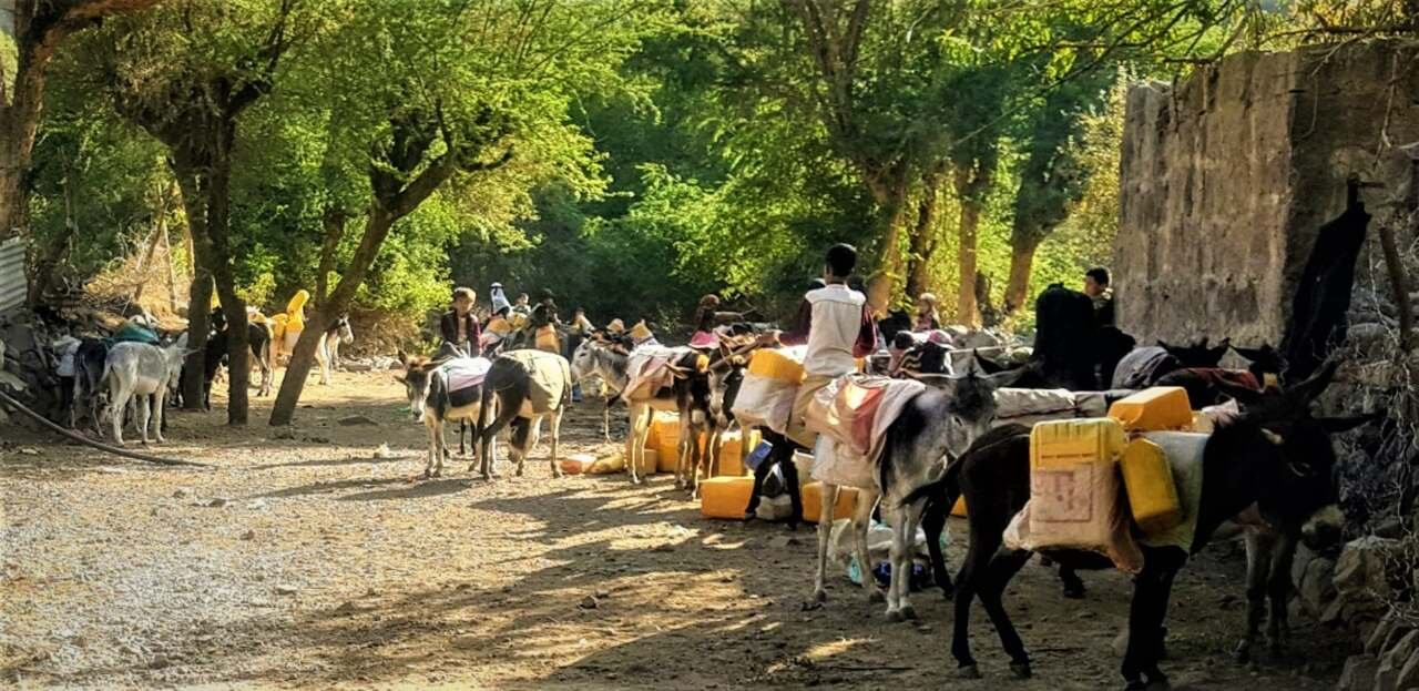 الحصول على المياه.. مهمة يومية شاقة للمواطنين