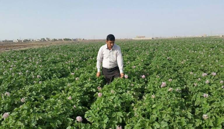 أشهر المعالم الزراعية في اليمن