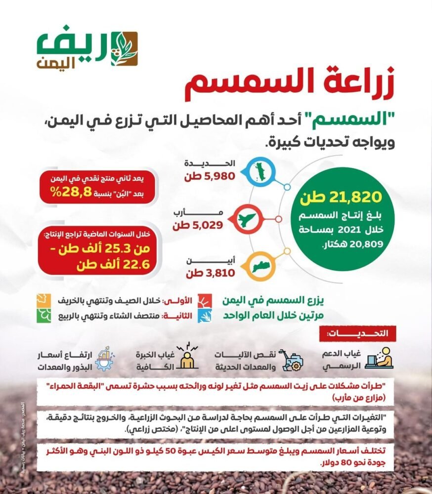 زراعة السمسم في اليمن