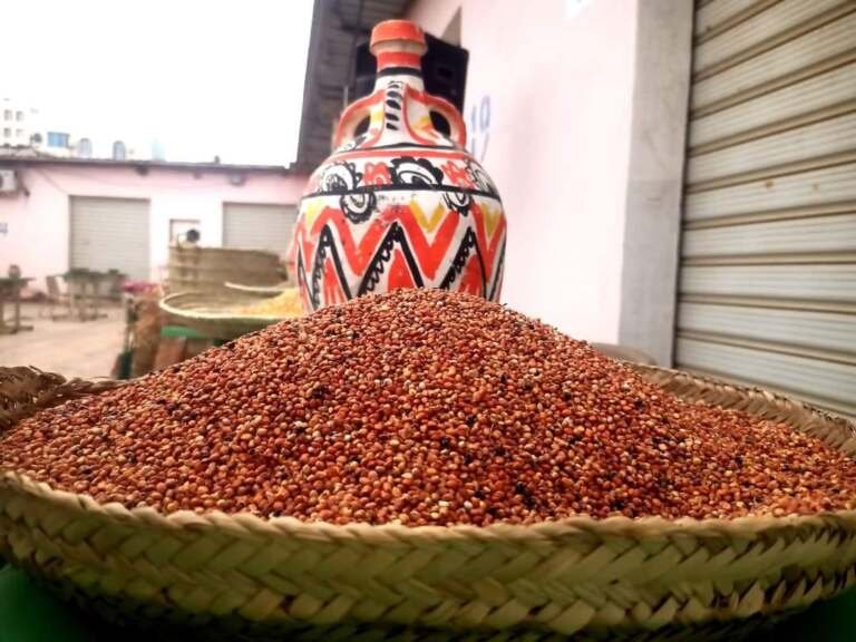زراعة السمسم في تهامة.. مهنة تقاوم الصعوبات