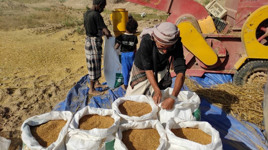 أبين.. الحياة تعود لأراضي بعد سنوات من التوقف