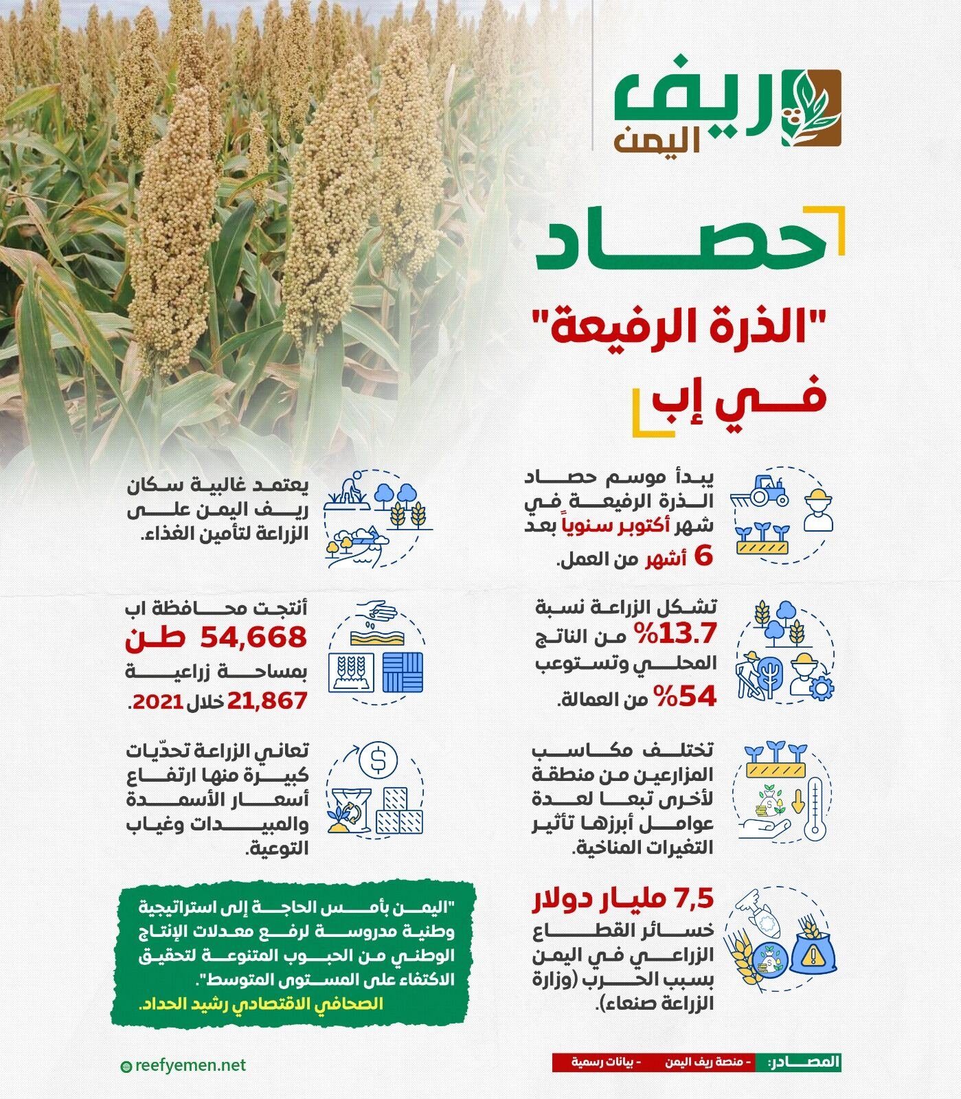 حصاد الذرة