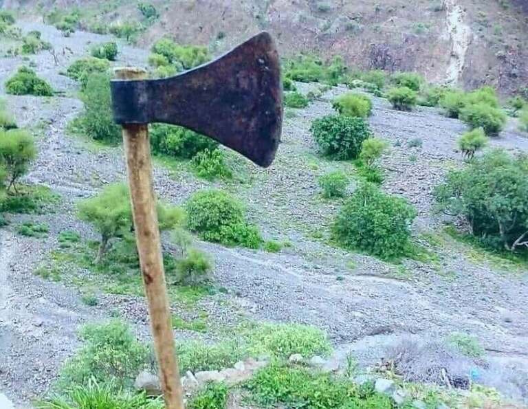 عطيف يمني