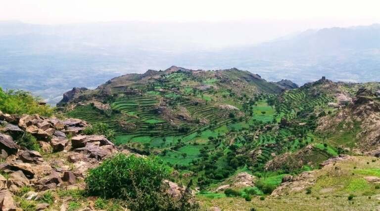 جبل الحُشاء الضالع: وجهة سياحية خلاّبة