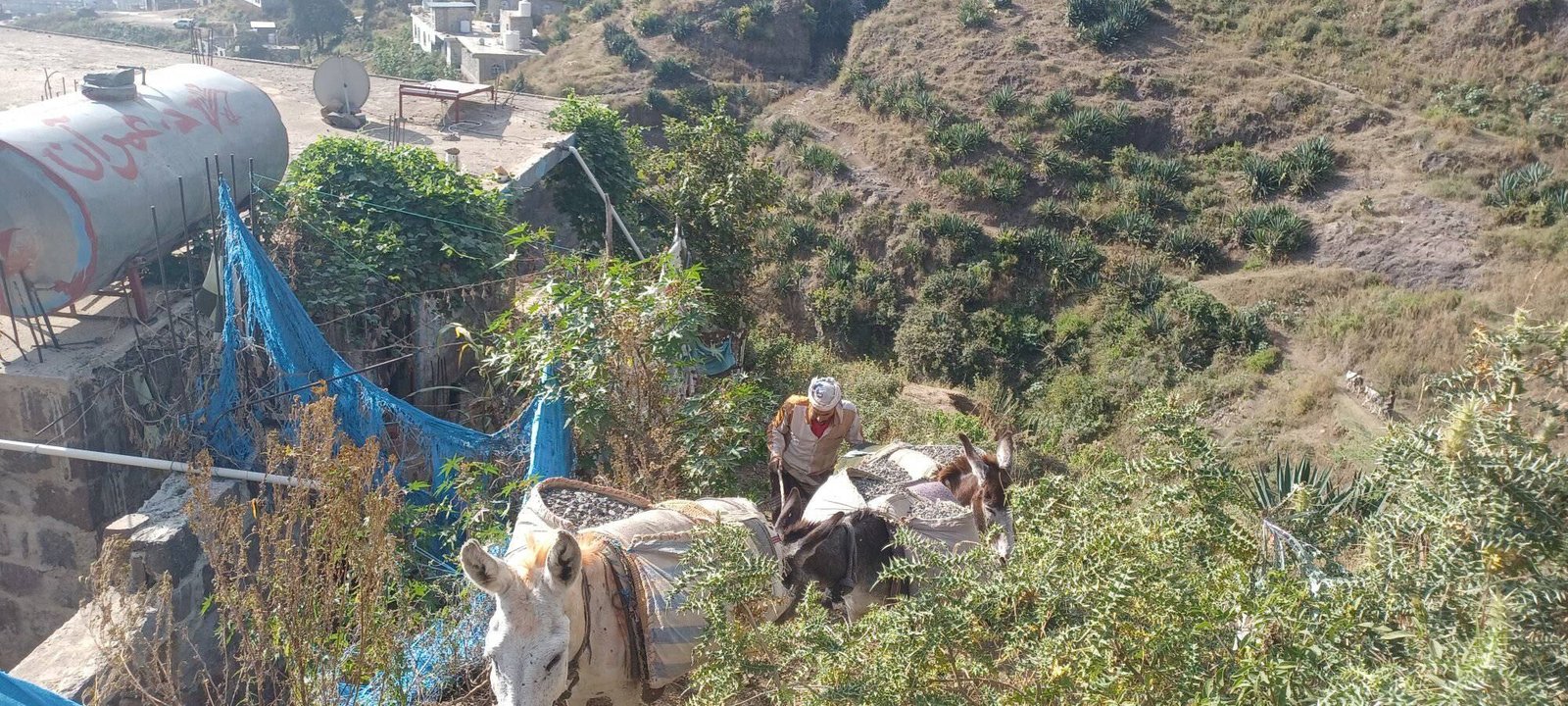 طريق دار الجبل.. مبادرة تتحدى الطبيعة في إب