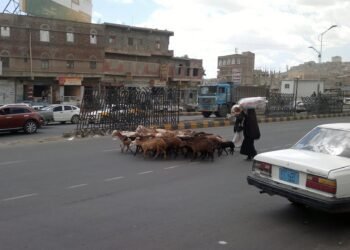 الحرب والنزوح تزيد من ظاهرة "ترييف المدن" اليمنية