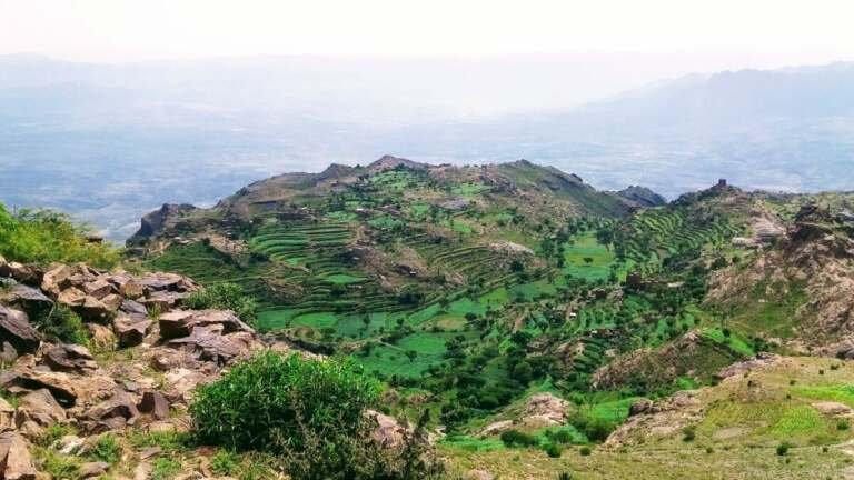 جبل الحُشاء الضالع: وجهة سياحية خلاّبة