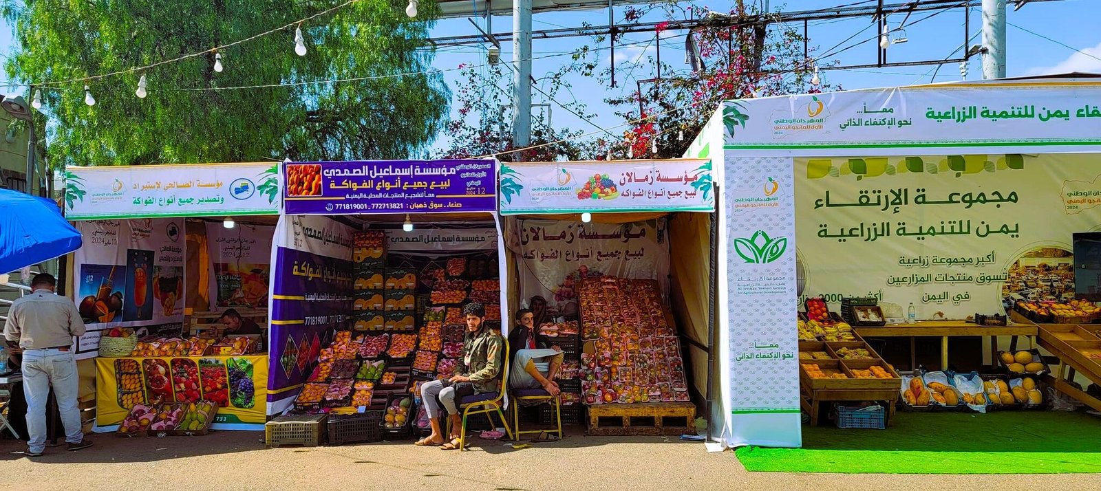 مهرجان المانجو.. إعادة اعتبار للمنتج الوطني