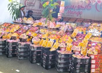 مهرجان المانجو.. إعادة اعتبار للمنتج الوطني