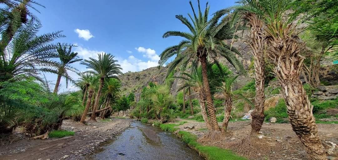وادي رسيان بريف تعز.. وجهة سياحية تقاوم الإهمال
