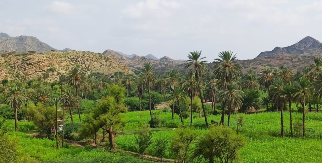 وادي رسيان بريف تعز.. وجهة سياحية تقاوم الإهمال