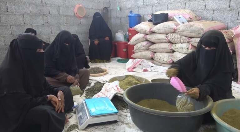 النقش بالحنّاء: زينة ومهنة للنساء في قرى لحج