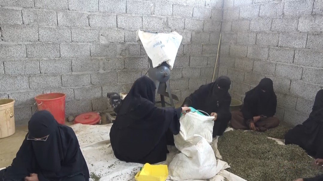 النقش والحنّاء.. فرص نسائية للعيش في قرى لحج