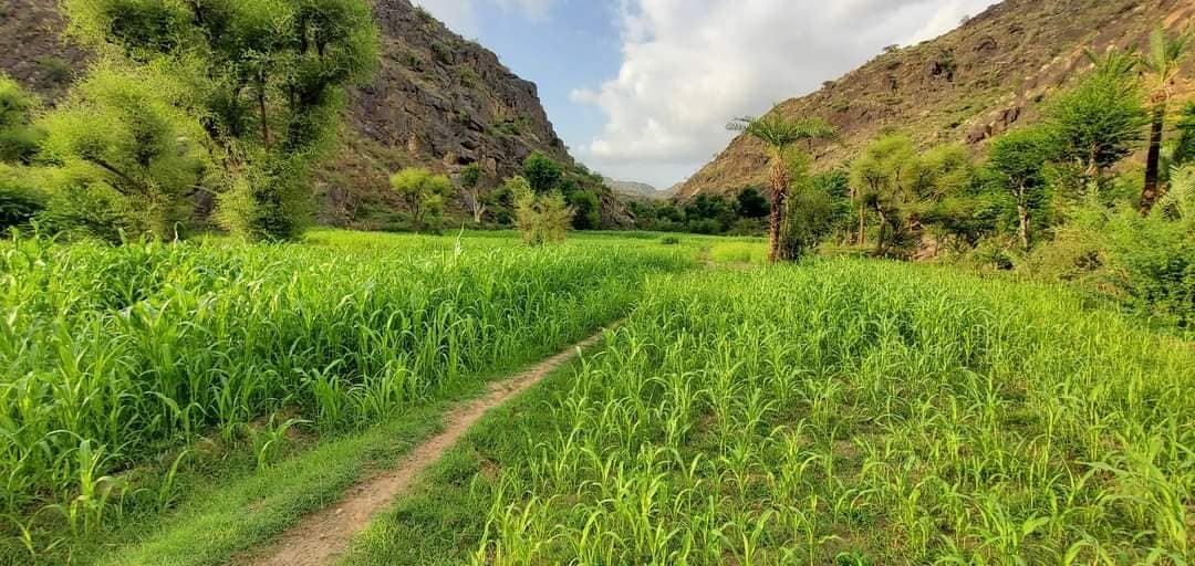 وادي رسيان بريف تعز.. وجهة سياحية تقاوم الإهمال