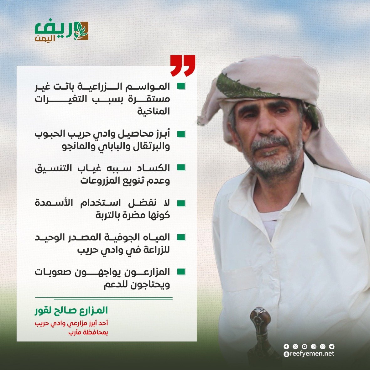 مزارعو وادي حريب بمأرب.. طموحات تصطدم بتحديات كبيرة