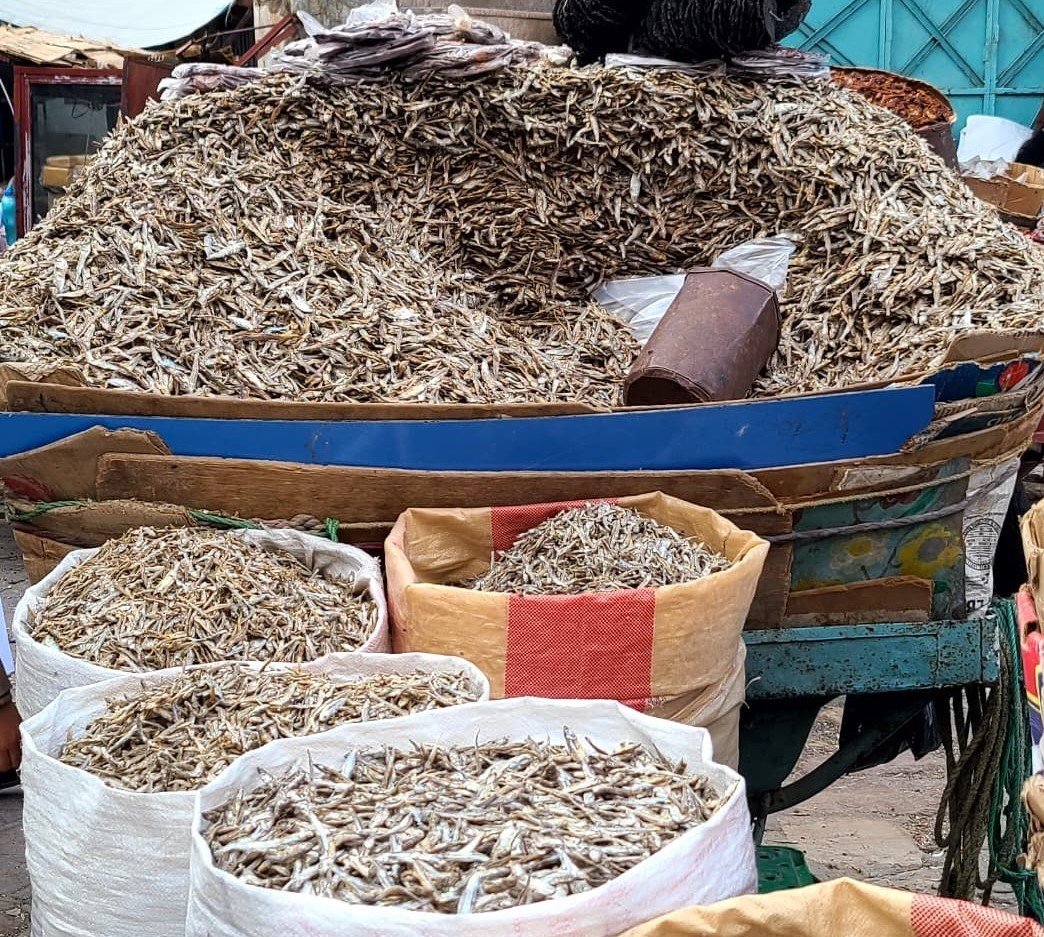 الوَزِف.. السمك المجفف المُفضل بمائدة سكان تعز