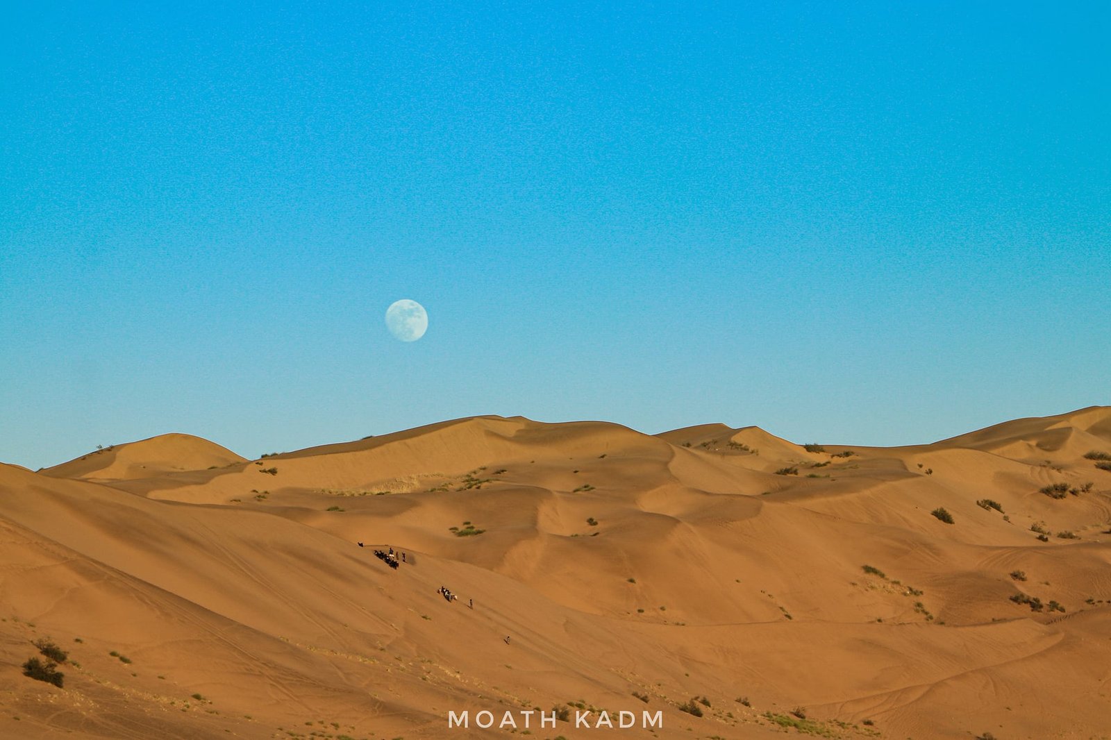 مأرب.. الجوهرة السياحية المهملة في اليمن