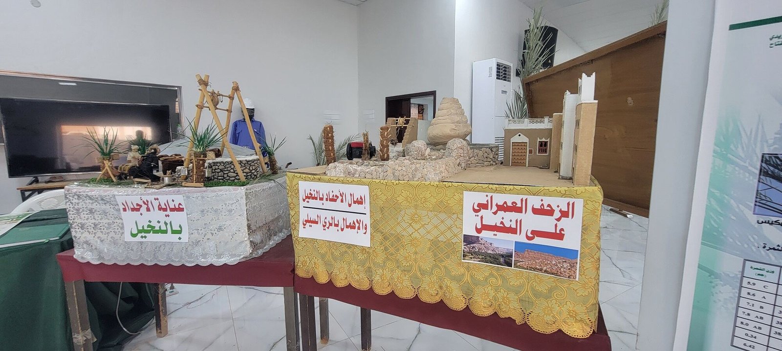 أشجار النخيل.. آفات وتوسع عمراني يهددها في حضرموت