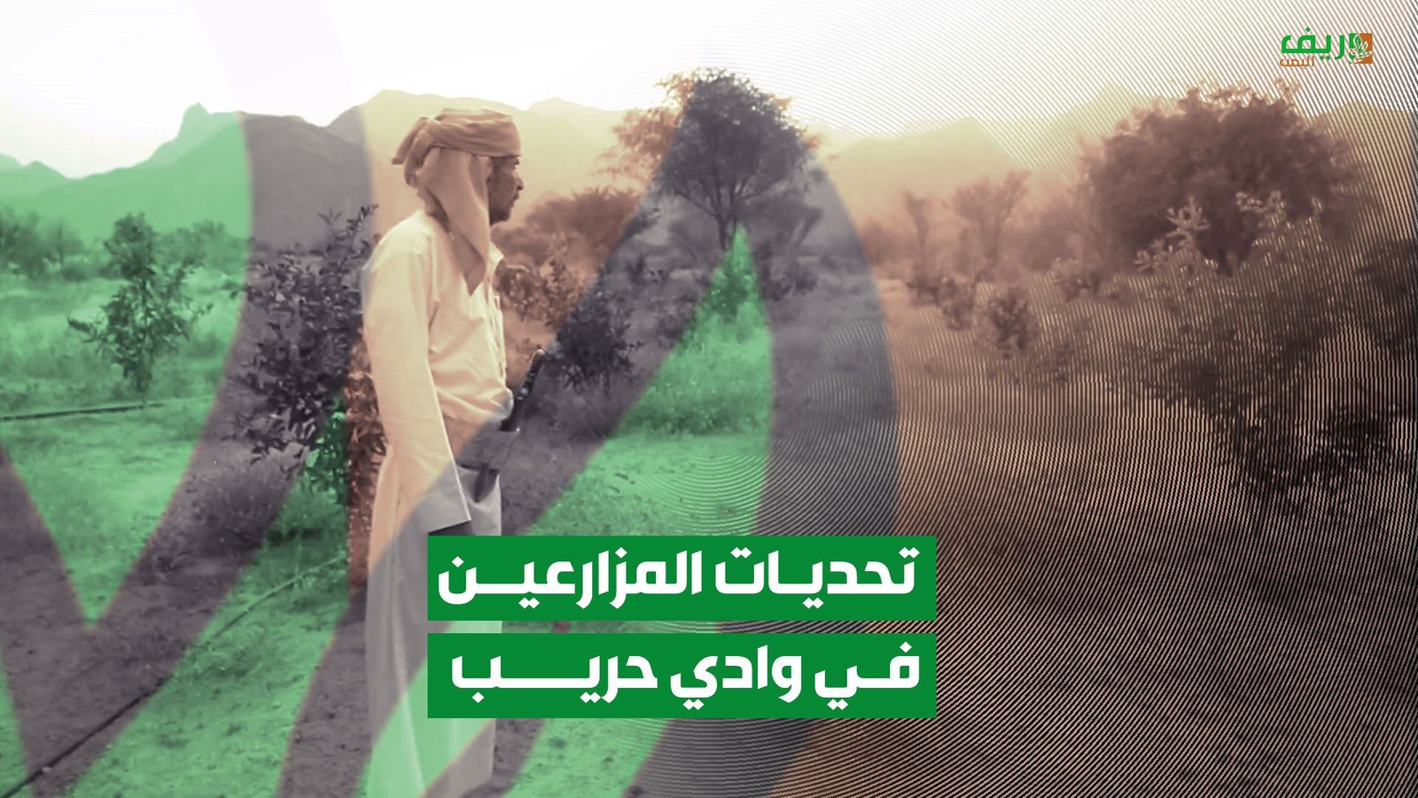 مأرب: تحديات مزارعين وادي حريب