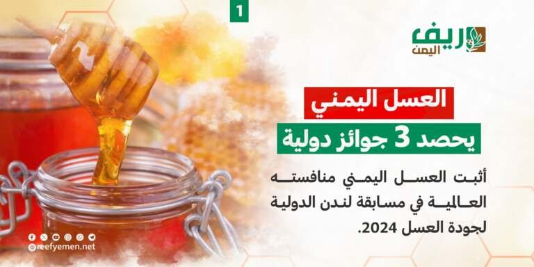 العسل اليمني يحصد 3 جوائز دولية