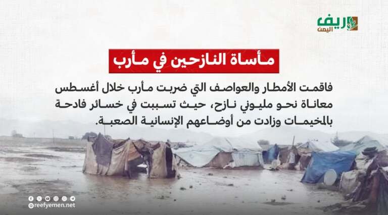 مأساة النازحين في مأرب
