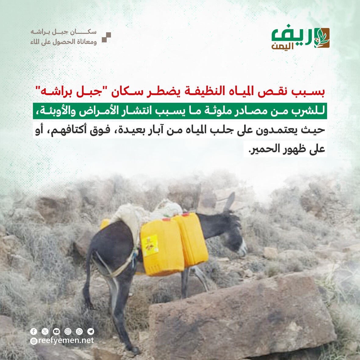 تعز.. سكان "جبل البراشة" يعشون أزمة مياه حادة