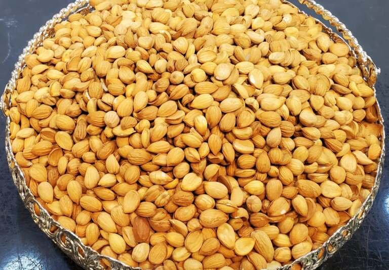 زراعة اللوز اليمني