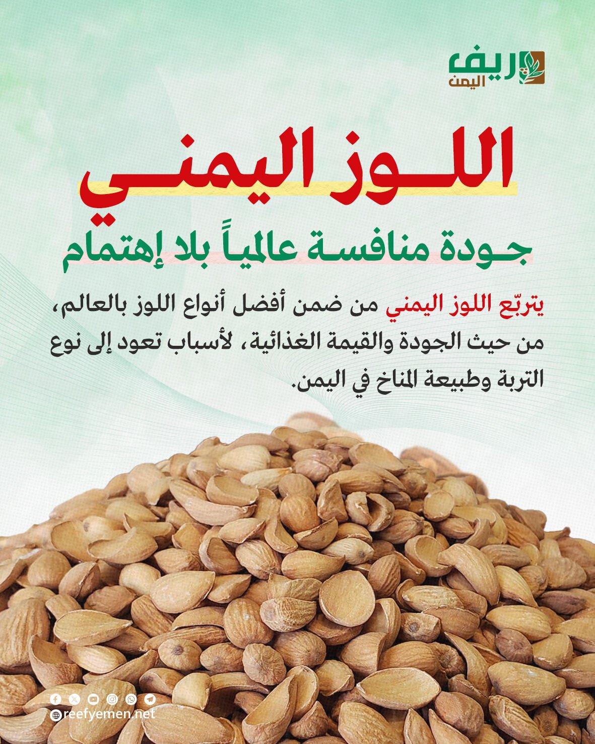 زراعة اللوز اليمني