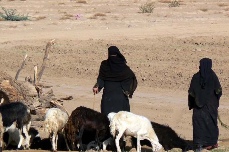 الوعي الصحي لدى نساء ريف اليمن