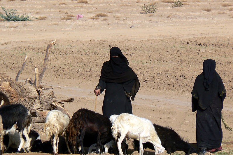 المرأة الريفية