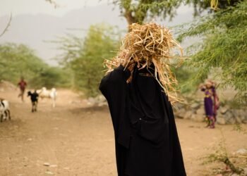 في يومها العالمي.. المرأة الريفية حياة شاقة