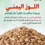 اللوز اليمني