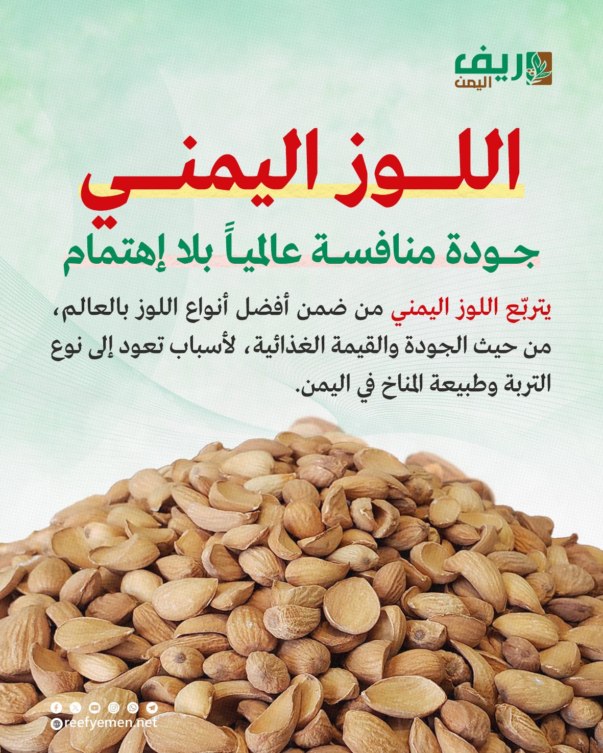 زراعة اللوز اليمني